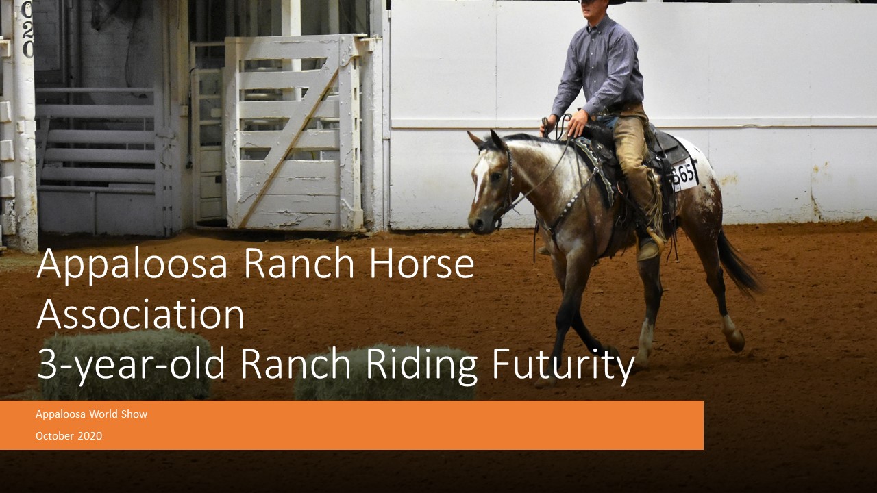 Appaloosa Ranch Horse 3 Year Old Ranch Riding Futurity