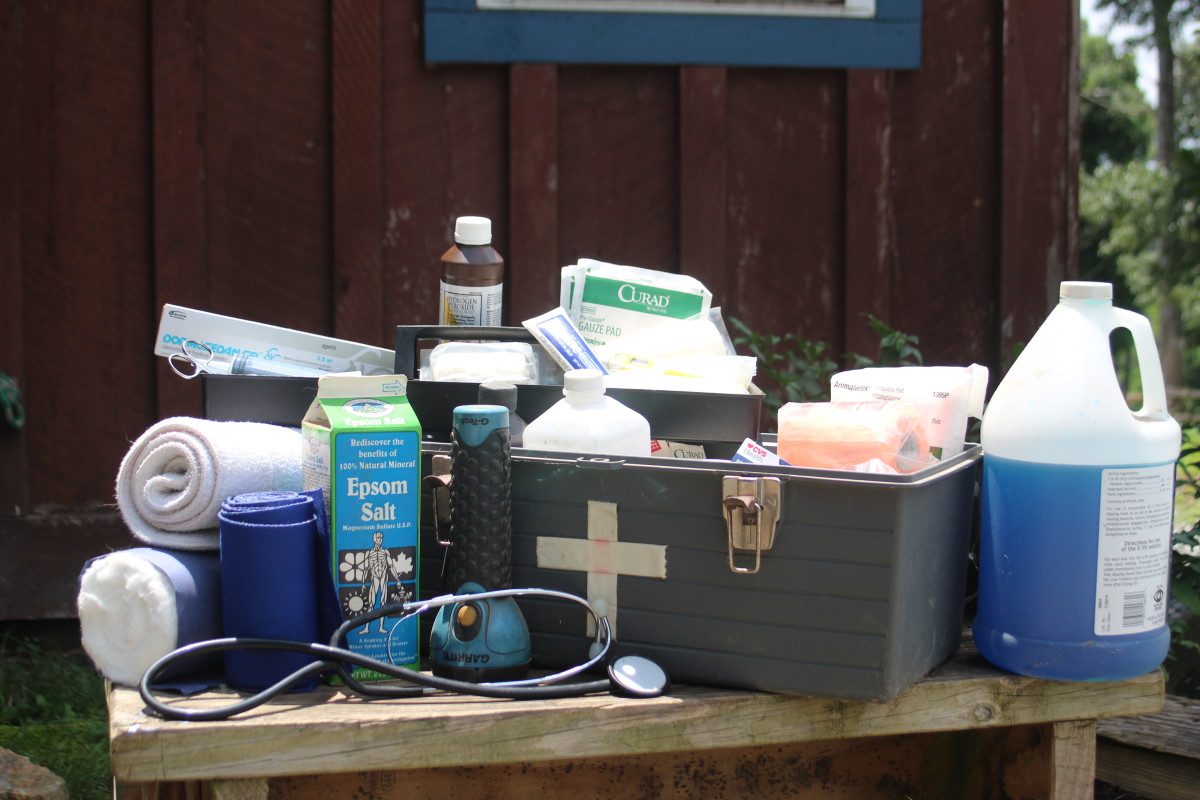 What’s in Your Equine Emergency Kit?